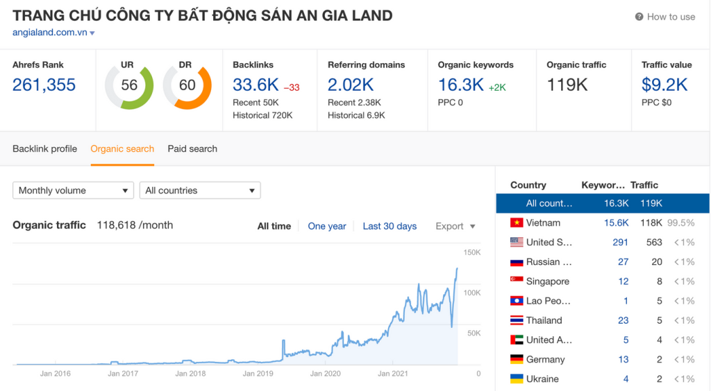 Thiết kế web chuyên nghiệp
