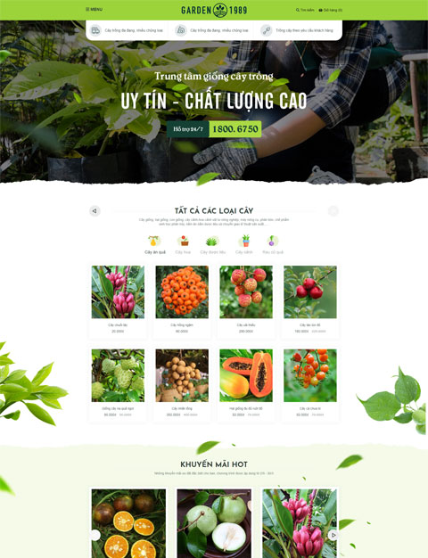 Thiết kế web chuyên nghiệp