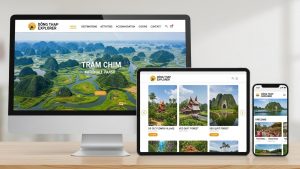Dịch vụ Thiết kế Website Đồng Tháp