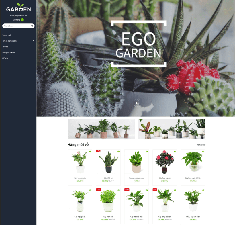 Thiết kế web chuyên nghiệp
