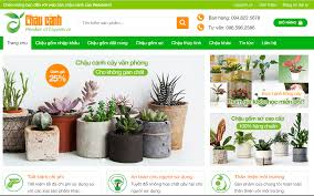 Thiết kế web chuyên nghiệp