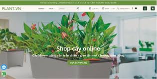 Thiết kế web chuyên nghiệp