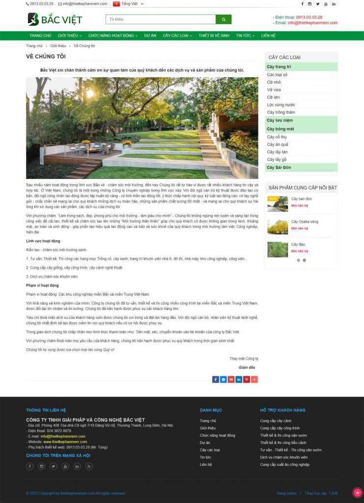 Thiết kế web chuyên nghiệp