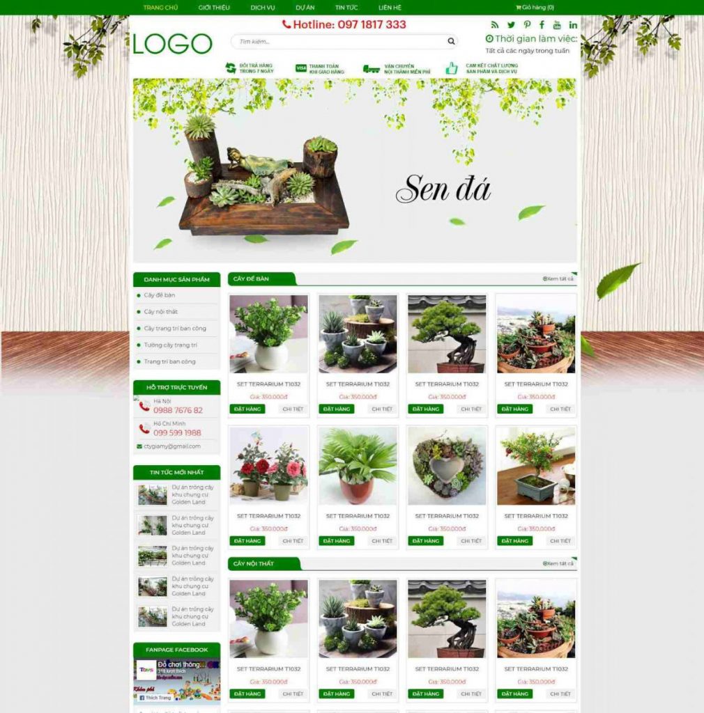 Thiết kế web chuyên nghiệp
