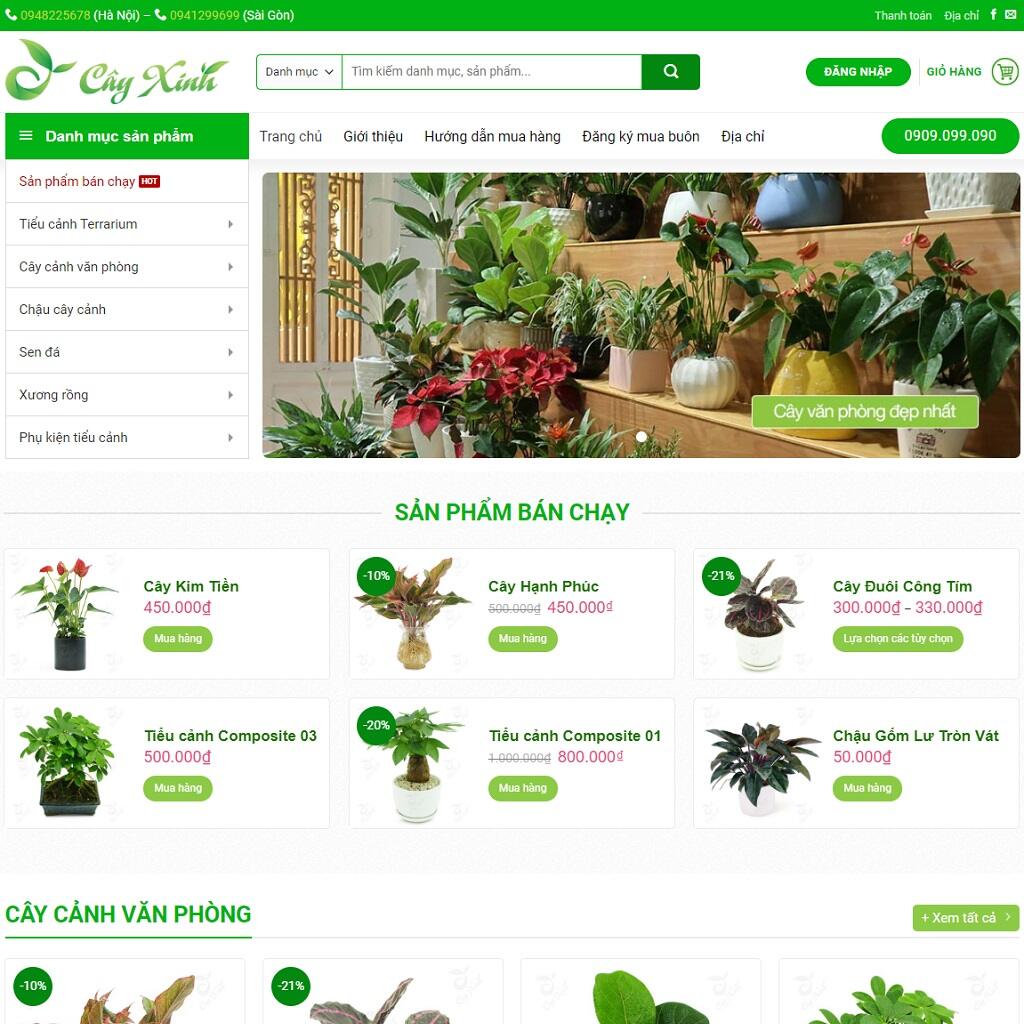 Thiết kế web chuyên nghiệp