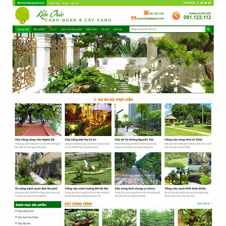 Thiết kế web chuyên nghiệp