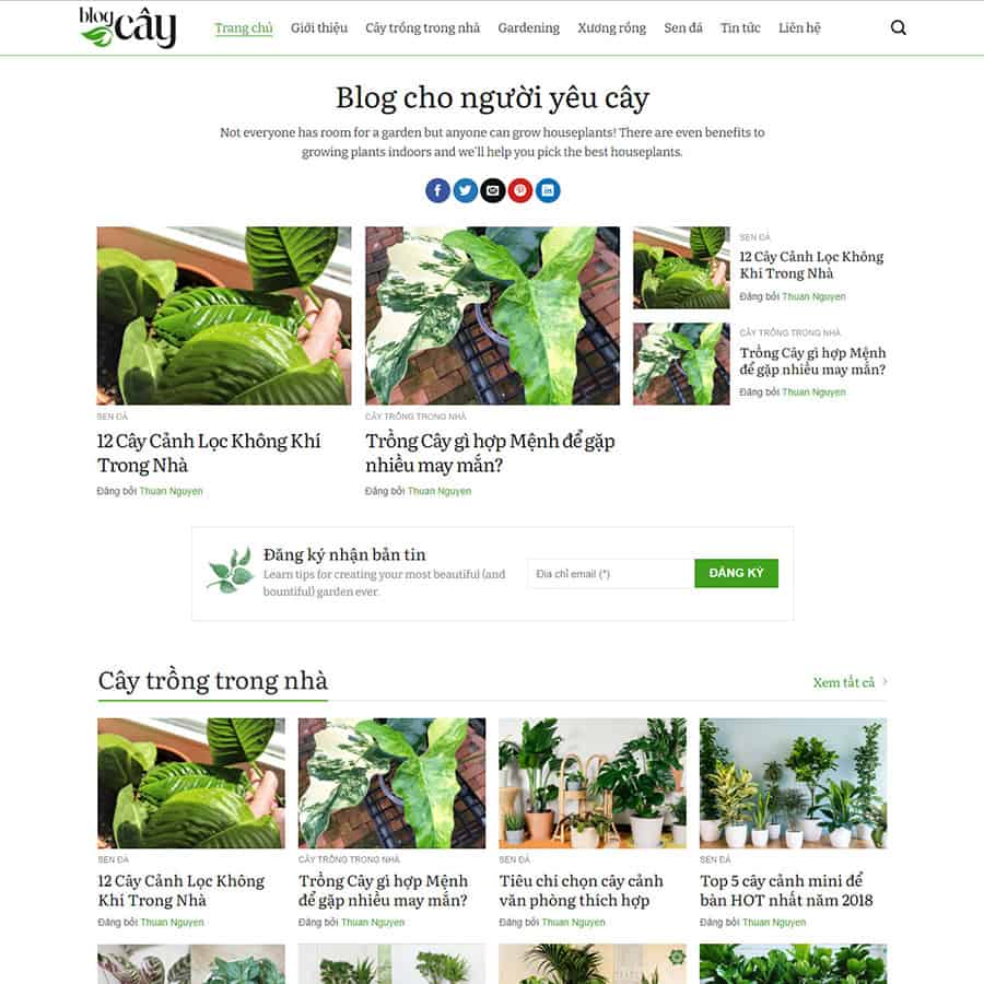 Thiết kế web chuyên nghiệp