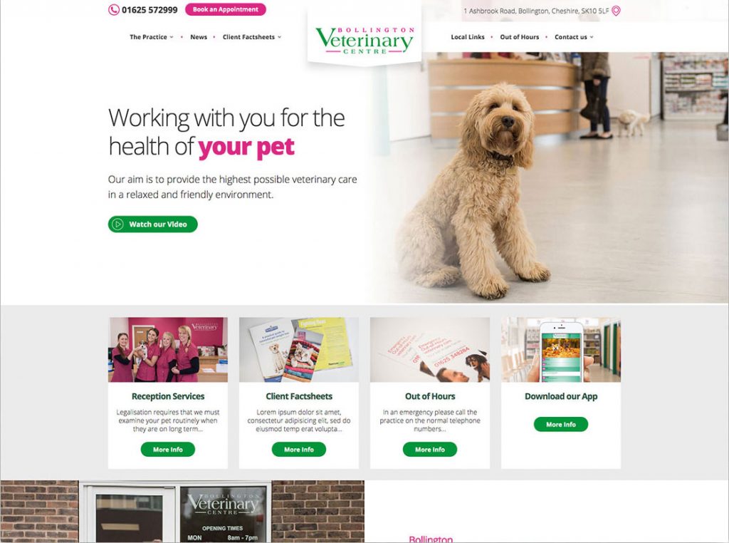 Thiết kế web chuyên nghiệp
