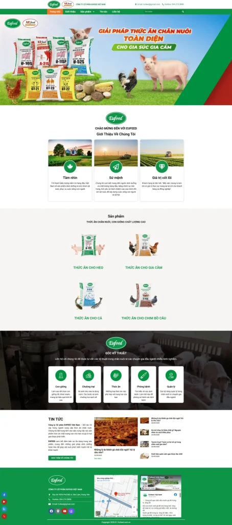 Thiết kế web chuyên nghiệp
