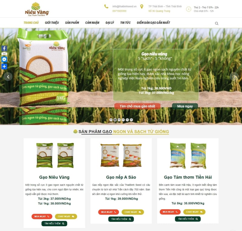 Thiết kế web chuyên nghiệp