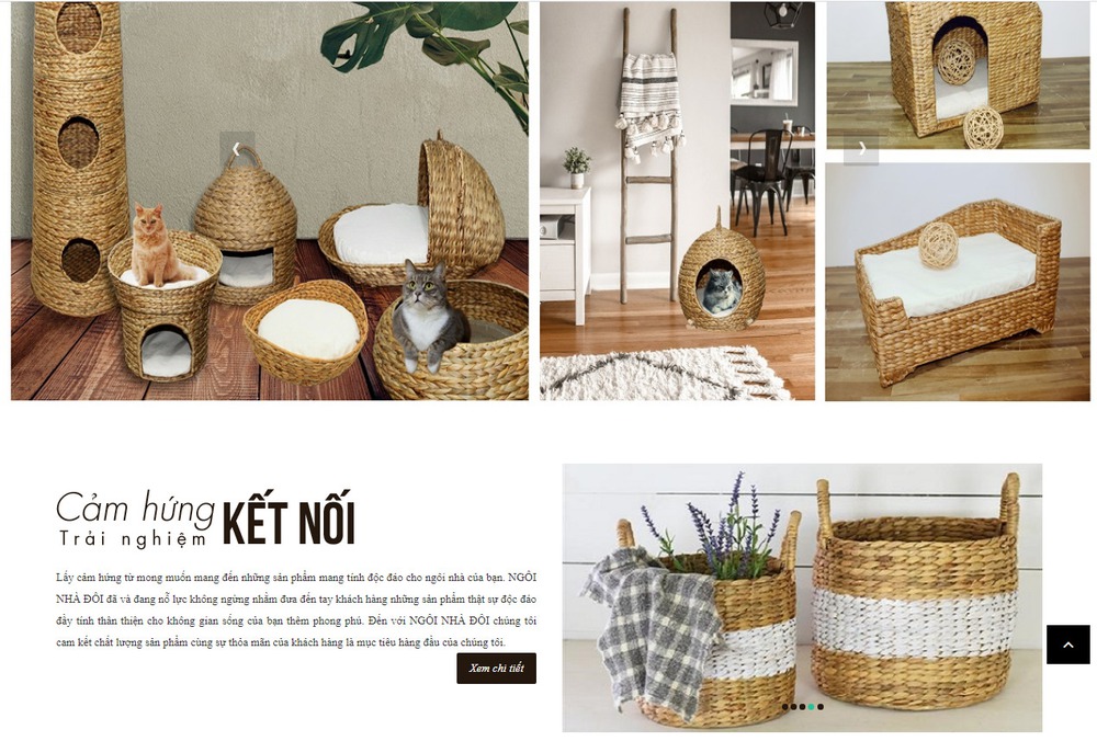 Thiết kế web chuyên nghiệp