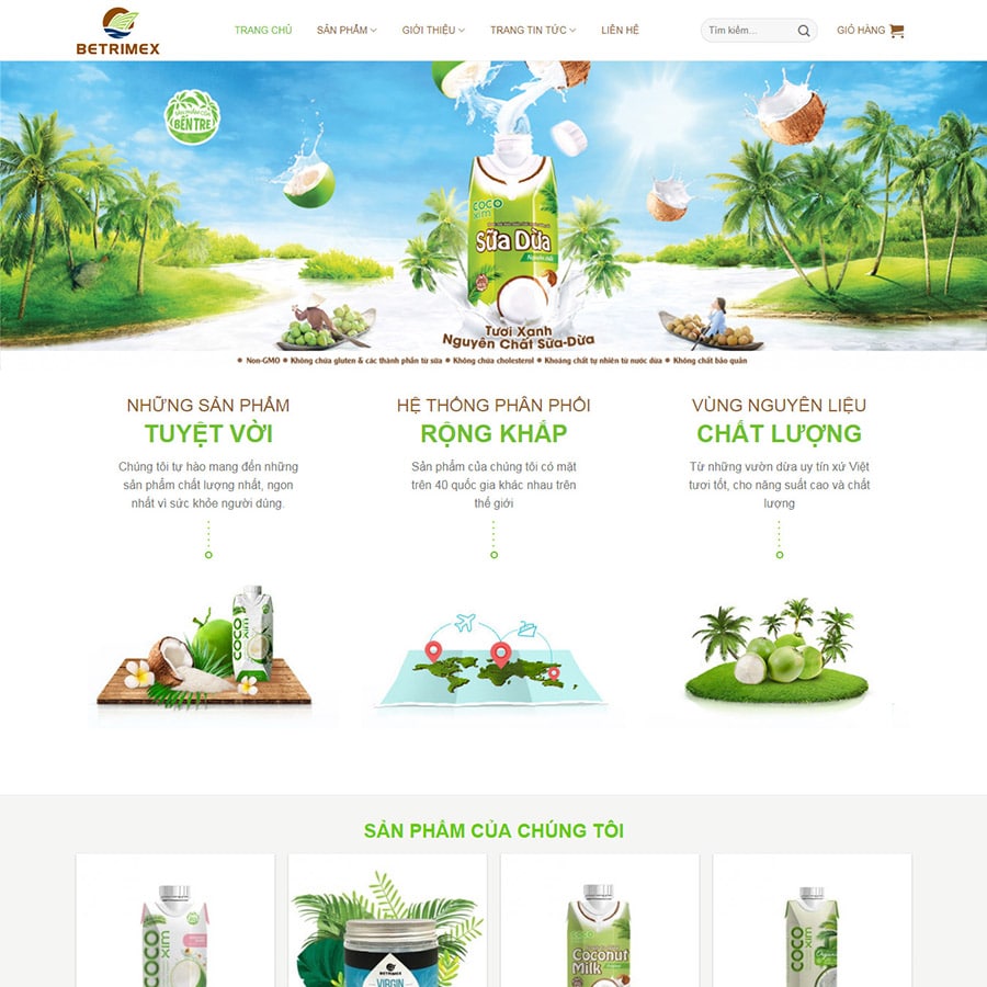 Thiết kế web chuyên nghiệp