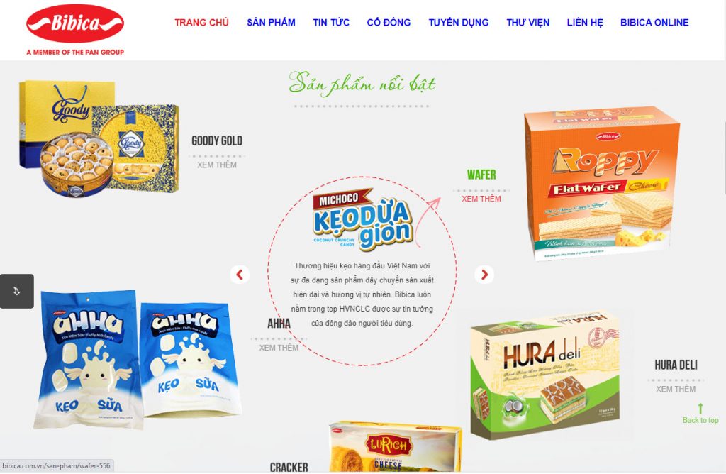 Thiết kế web chuyên nghiệp