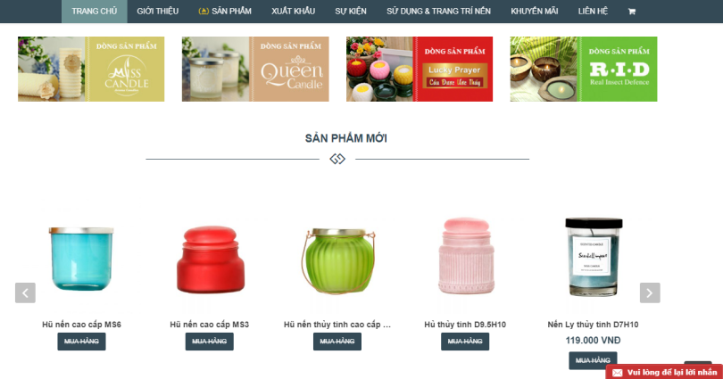 Thiết kế web chuyên nghiệp
