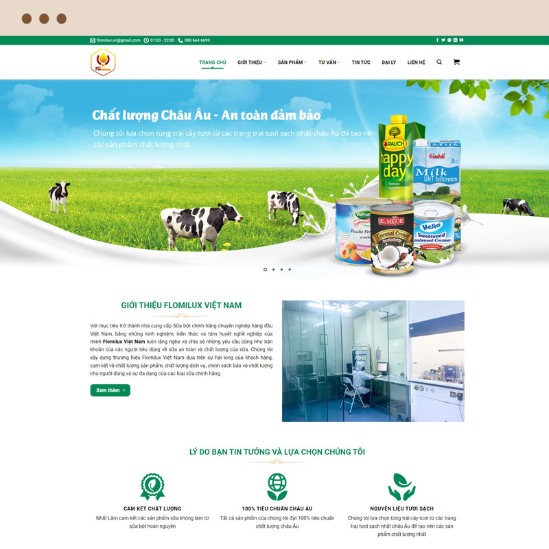 Thiết kế web chuyên nghiệp
