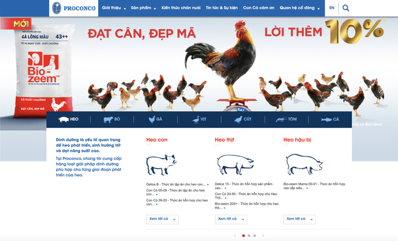 Thiết kế web chuyên nghiệp